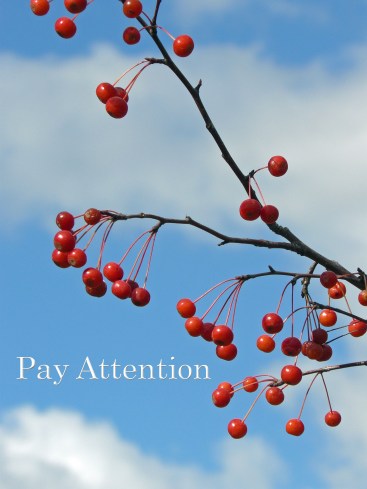Pay Attention