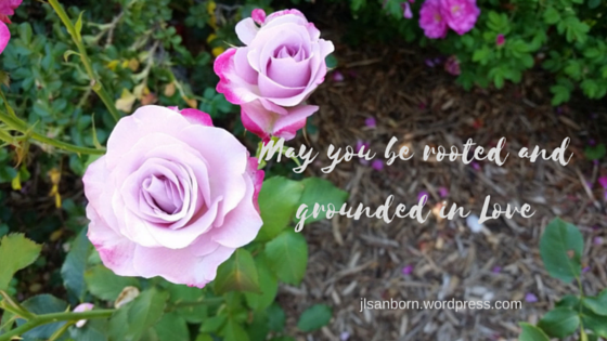 May you be rooted and grounded in Love (1)